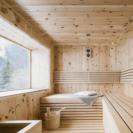 Eagle Saalbach-Hinterglemm